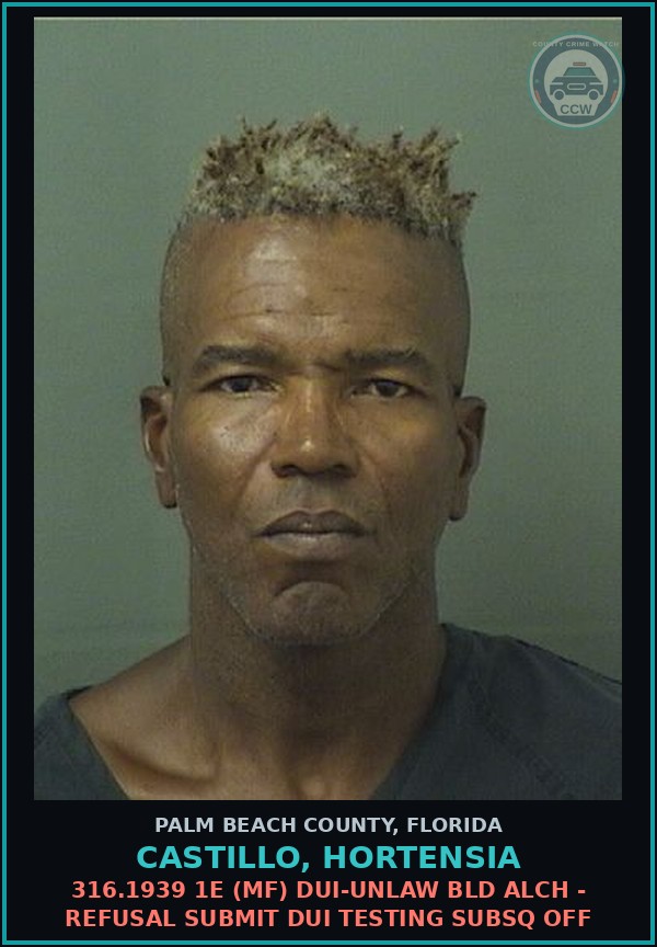 Booking mugshot of CASTILLO, HORTENSIA in Palm Beach County