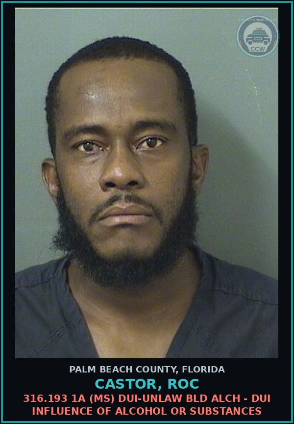 Booking mugshot of CASTOR, ROC in Palm Beach County