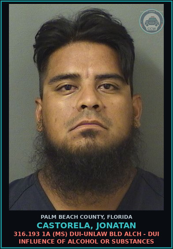 Booking mugshot of CASTORELA, JONATAN in Palm Beach County