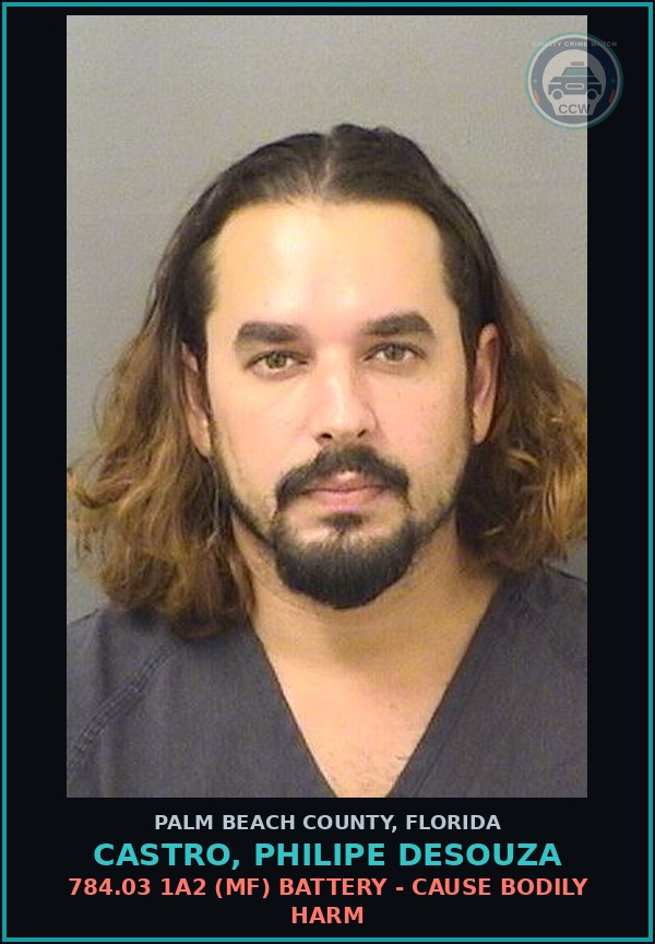 Booking mugshot of CASTRO, PHILIPE DESOUZA in Palm Beach County