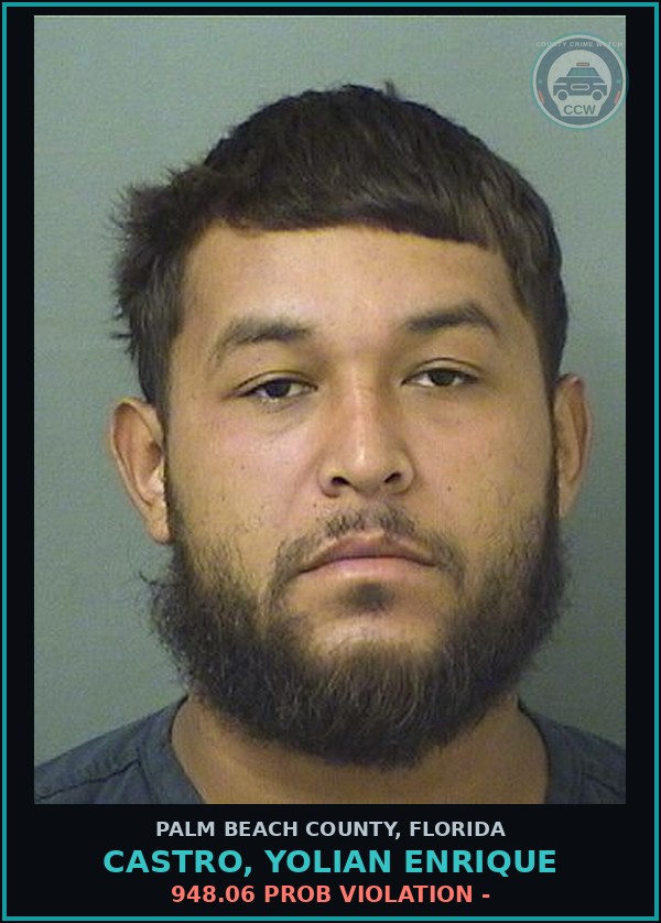 Booking mugshot of CASTRO, YOLIAN ENRIQUE in Palm Beach County