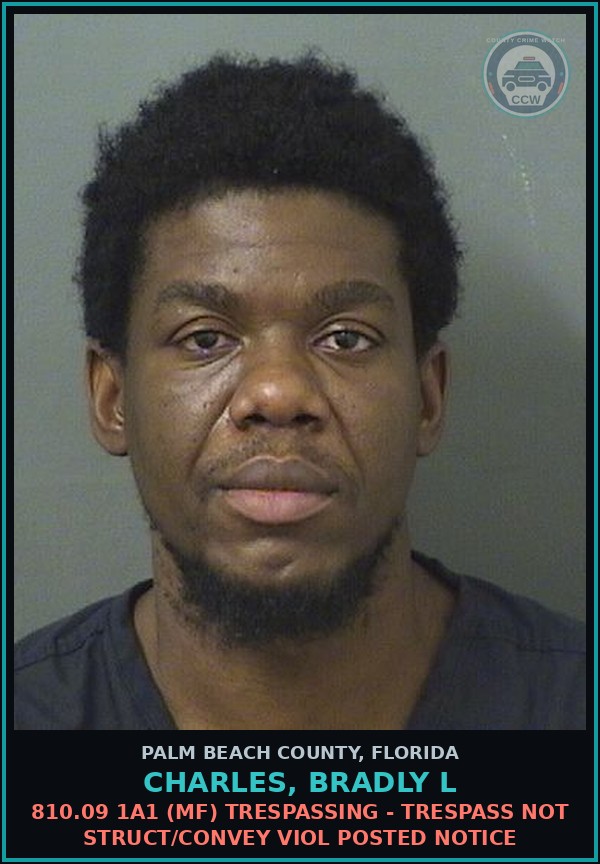 Booking mugshot of CHARLES, BRADLY L in Palm Beach County