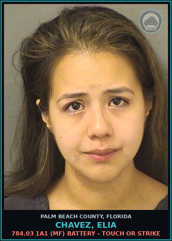 Booking mugshot of CHAVEZ, ELIA in Palm Beach County