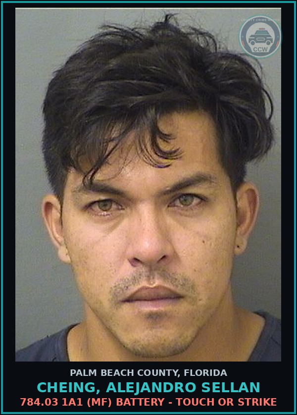 Booking mugshot of CHEING, ALEJANDRO SELLAN in Palm Beach County