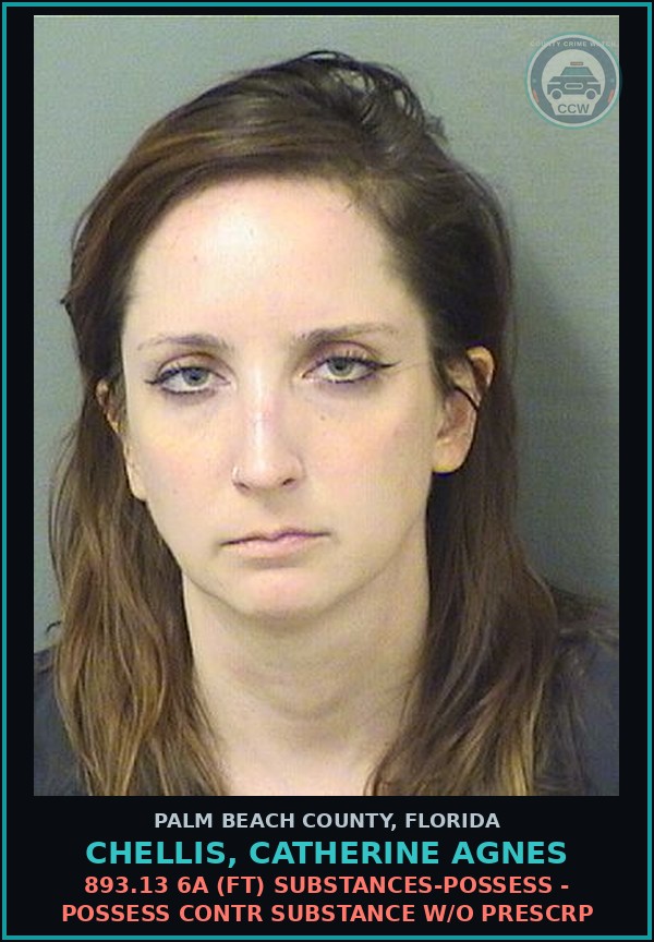 Booking mugshot of CHELLIS, CATHERINE AGNES in Palm Beach County