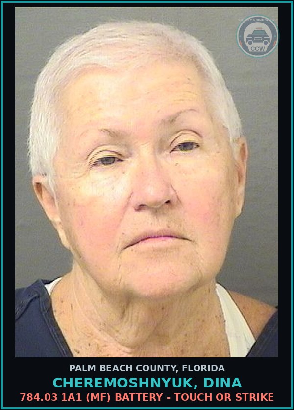 Booking mugshot of CHEREMOSHNYUK, DINA in Palm Beach County
