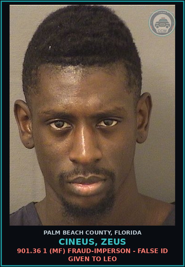Booking mugshot of CINEUS, ZEUS in Palm Beach County