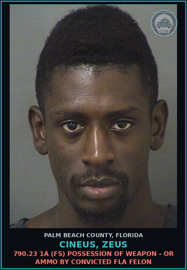 Booking mugshot of CINEUS, ZEUS in Palm Beach County