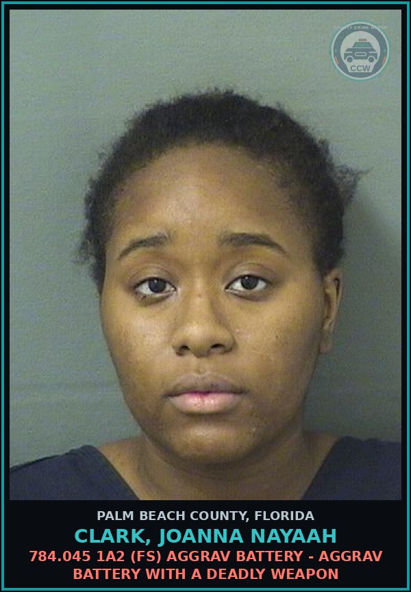 Booking mugshot of CLARK, JOANNA NAYAAH in Palm Beach County