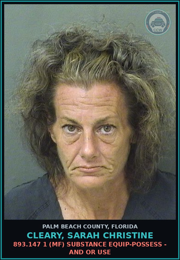 Booking mugshot of CLEARY, SARAH CHRISTINE in Palm Beach County