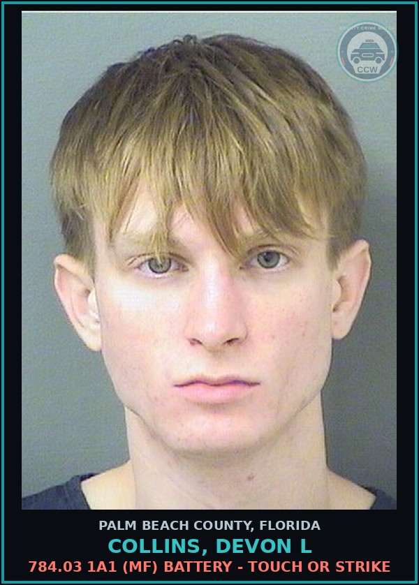 Booking mugshot of COLLINS, DEVON L in Palm Beach County