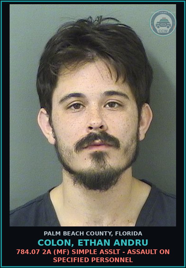 Booking mugshot of COLON, ETHAN ANDRU in Palm Beach County