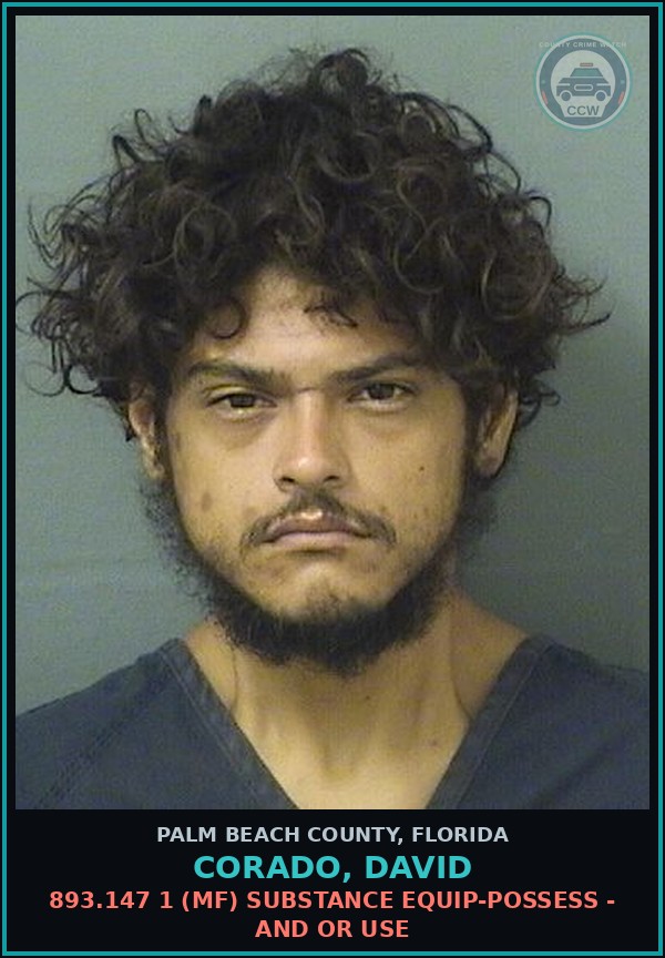Booking mugshot of CORADO, DAVID in Palm Beach County