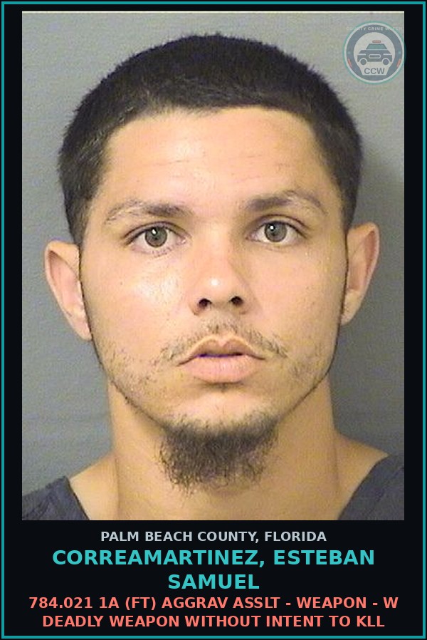 Booking mugshot of CORREAMARTINEZ, ESTEBAN SAMUEL in Palm Beach County