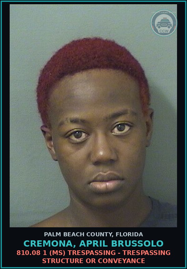Booking mugshot of CREMONA, APRIL BRUSSOLO in Palm Beach County