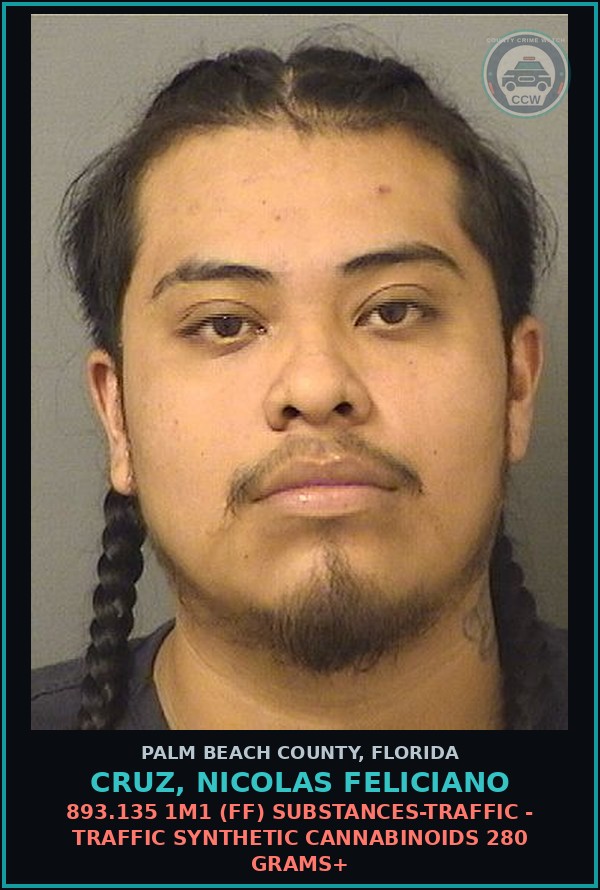 Booking mugshot of CRUZ, NICOLAS FELICIANO in Palm Beach County
