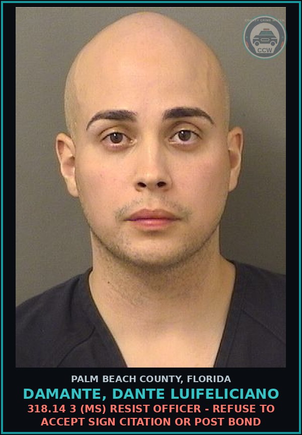 Booking mugshot of DAMANTE, DANTE LUIFELICIANO in Palm Beach County