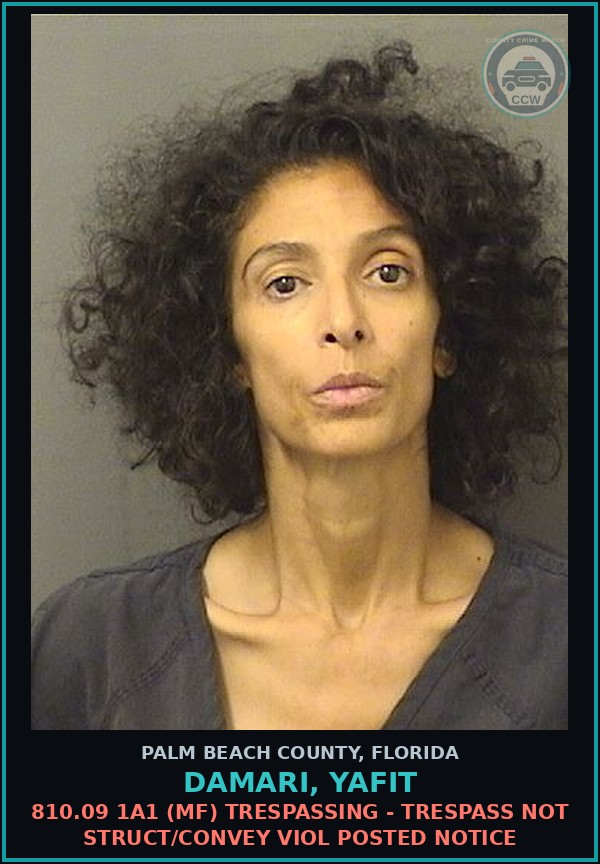 Booking mugshot of DAMARI, YAFIT in Palm Beach County