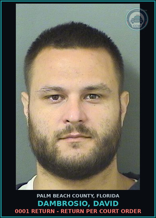 Booking mugshot of DAMBROSIO, DAVID in Palm Beach County