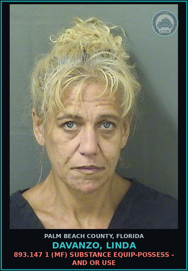 Booking mugshot of DAVANZO, LINDA in Palm Beach County