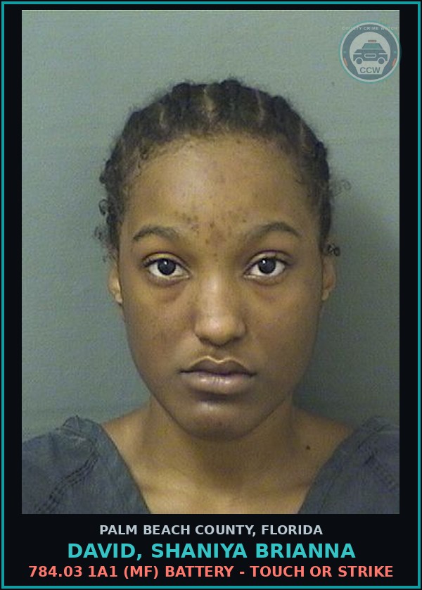 Booking mugshot of DAVID, SHANIYA BRIANNA in Palm Beach County