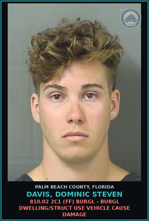 Booking mugshot of DAVIS, DOMINIC STEVEN in Palm Beach County