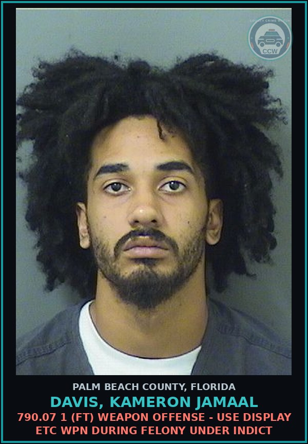 Booking mugshot of DAVIS, KAMERON JAMAAL in Palm Beach County