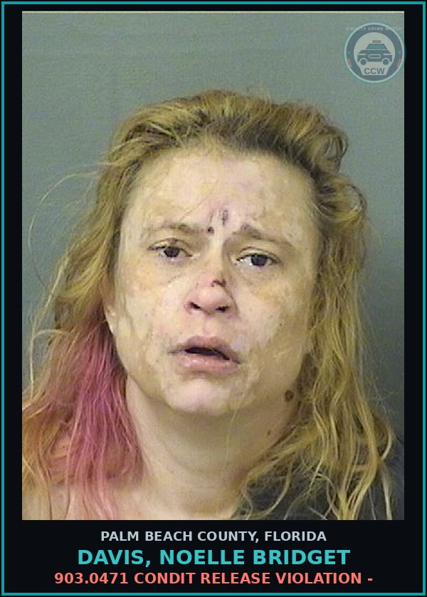 Booking mugshot of DAVIS, NOELLE BRIDGET in Palm Beach County