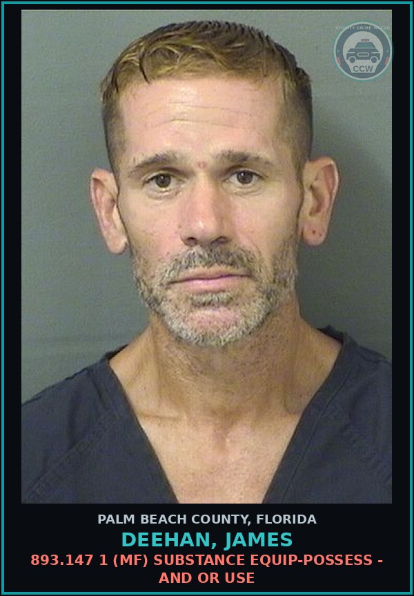 Booking mugshot of DEEHAN, JAMES in Palm Beach County