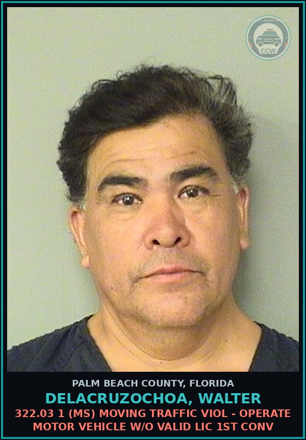 Booking mugshot of DELACRUZOCHOA, WALTER in Palm Beach County