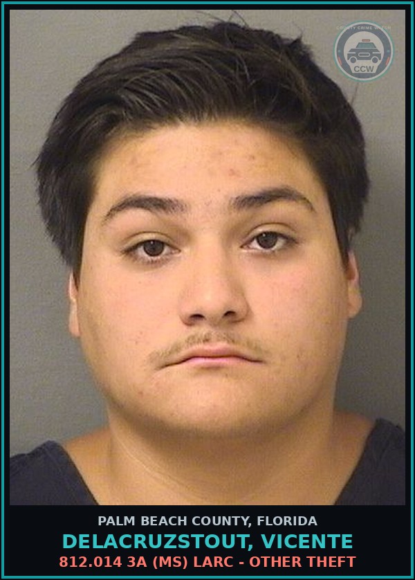 Booking mugshot of DELACRUZSTOUT, VICENTE in Palm Beach County