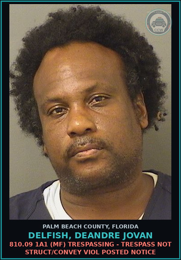 Booking mugshot of DELFISH, DEANDRE JOVAN in Palm Beach County
