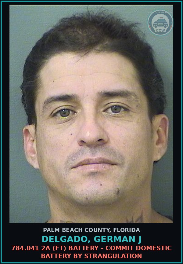 Booking mugshot of DELGADO, GERMAN J in Palm Beach County