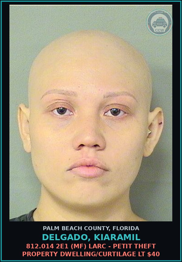 Booking mugshot of DELGADO, KIARAMIL in Palm Beach County
