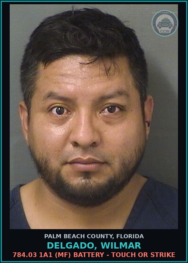 Booking mugshot of DELGADO, WILMAR in Palm Beach County