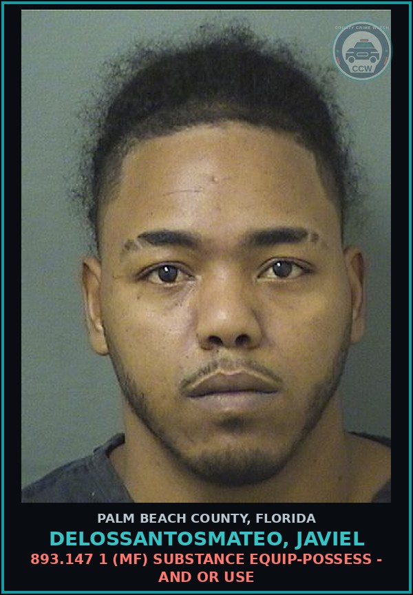 Booking mugshot of DELOSSANTOSMATEO, JAVIEL in Palm Beach County