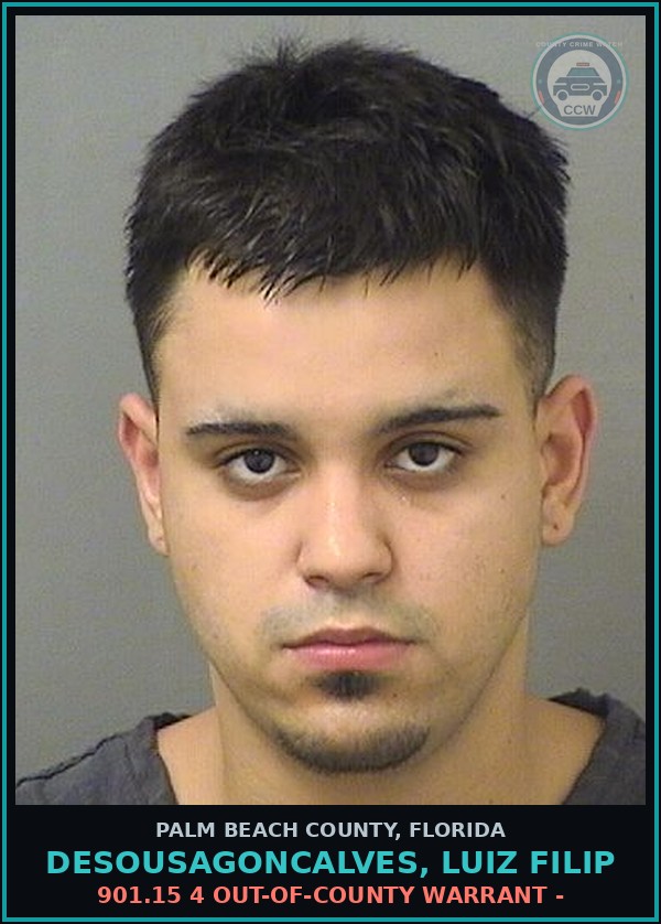 Booking mugshot of DESOUSAGONCALVES, LUIZ FILIP in Palm Beach County