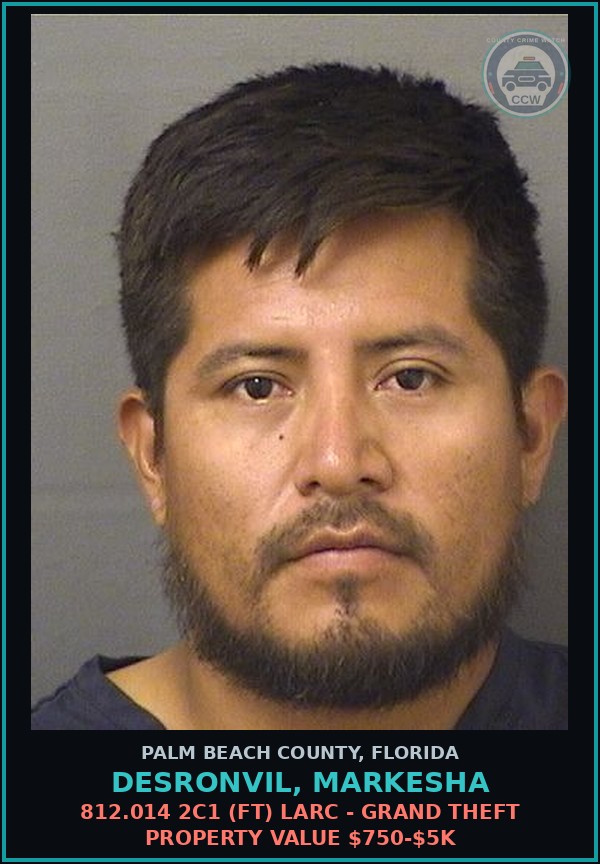 Booking mugshot of DESRONVIL, MARKESHA in Palm Beach County