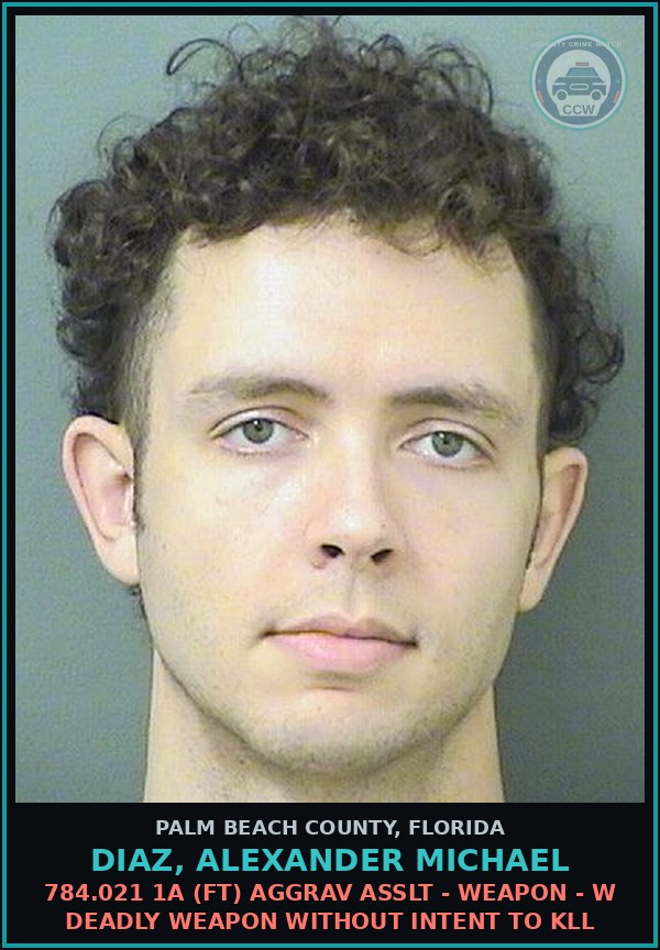 Booking mugshot of DIAZ, ALEXANDER MICHAEL in Palm Beach County