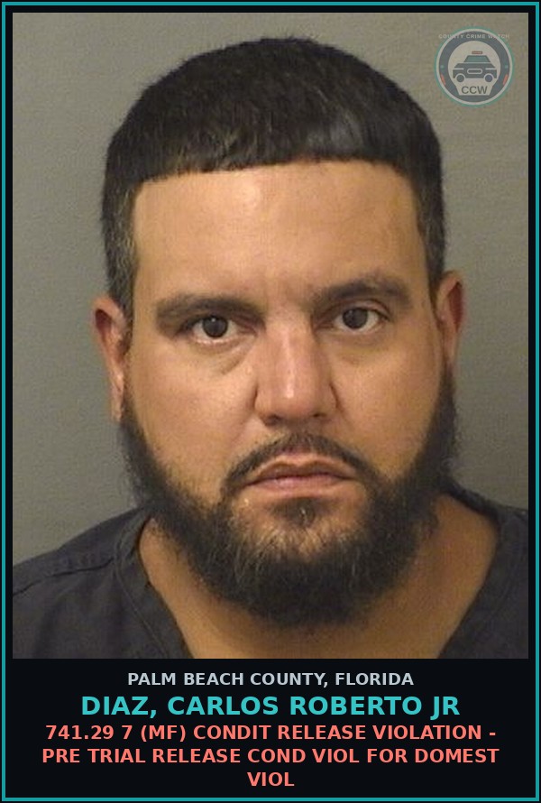 Booking mugshot of DIAZ, CARLOS ROBERTO Jr in Palm Beach County