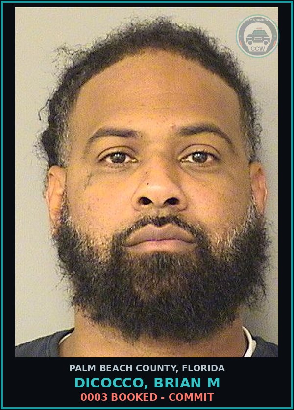 Booking mugshot of DICOCCO, BRIAN M in Palm Beach County