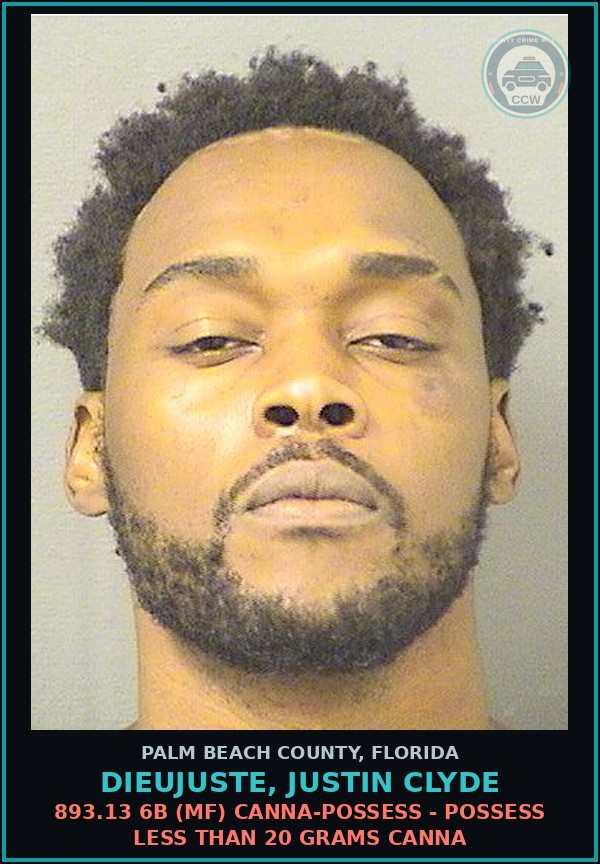 Booking mugshot of DIEUJUSTE, JUSTIN CLYDE in Palm Beach County