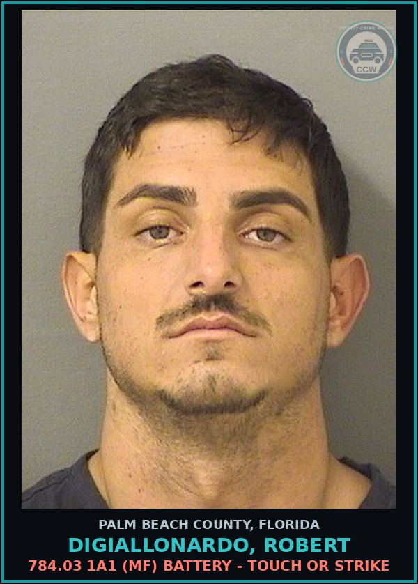 Booking mugshot of DIGIALLONARDO, ROBERT in Palm Beach County
