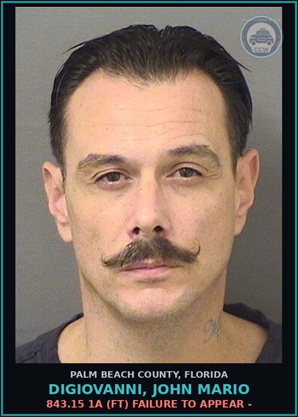 Booking mugshot of DIGIOVANNI, JOHN MARIO in Palm Beach County