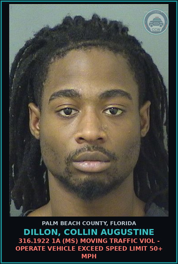 Booking mugshot of DILLON, COLLIN AUGUSTINE in Palm Beach County