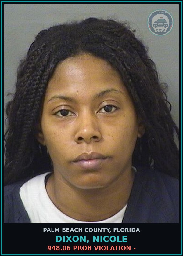 Booking mugshot of DIXON, NICOLE in Palm Beach County