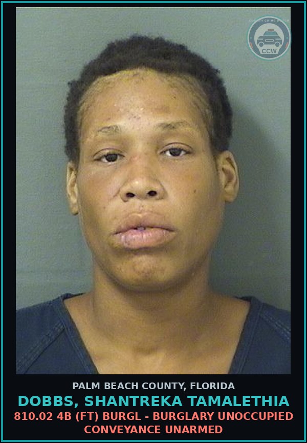 Booking mugshot of DOBBS, SHANTREKA TAMALETHIA in Palm Beach County