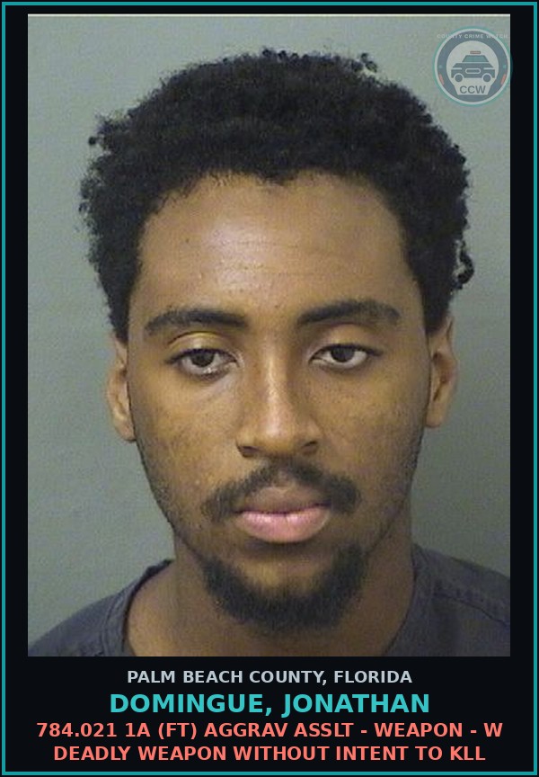 Booking mugshot of DOMINGUE, JONATHAN in Palm Beach County