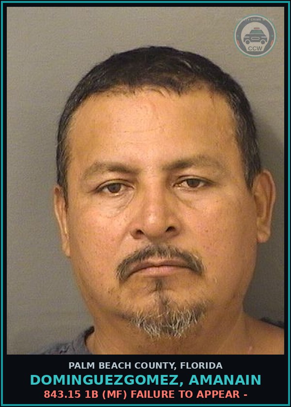 Booking mugshot of DOMINGUEZGOMEZ, AMANAIN in Palm Beach County