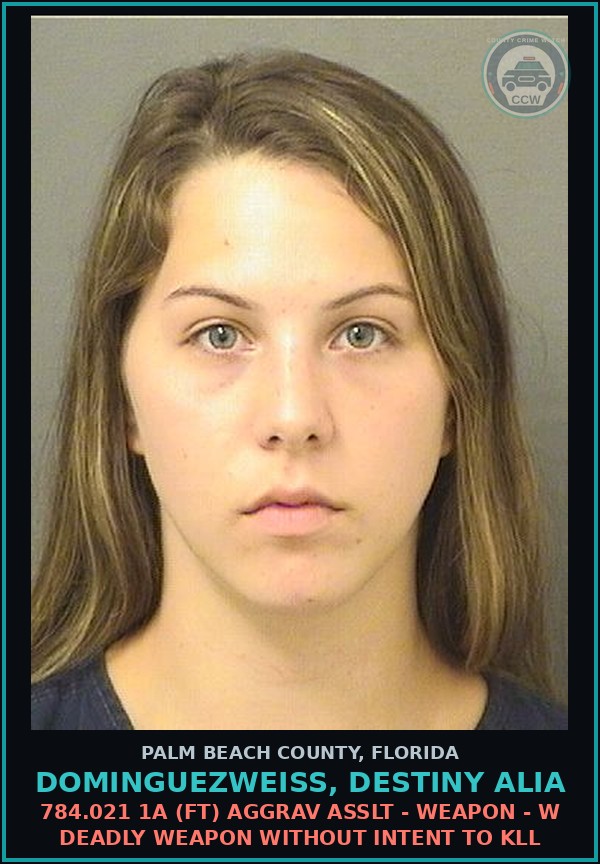 Booking mugshot of DOMINGUEZWEISS, DESTINY ALIA in Palm Beach County